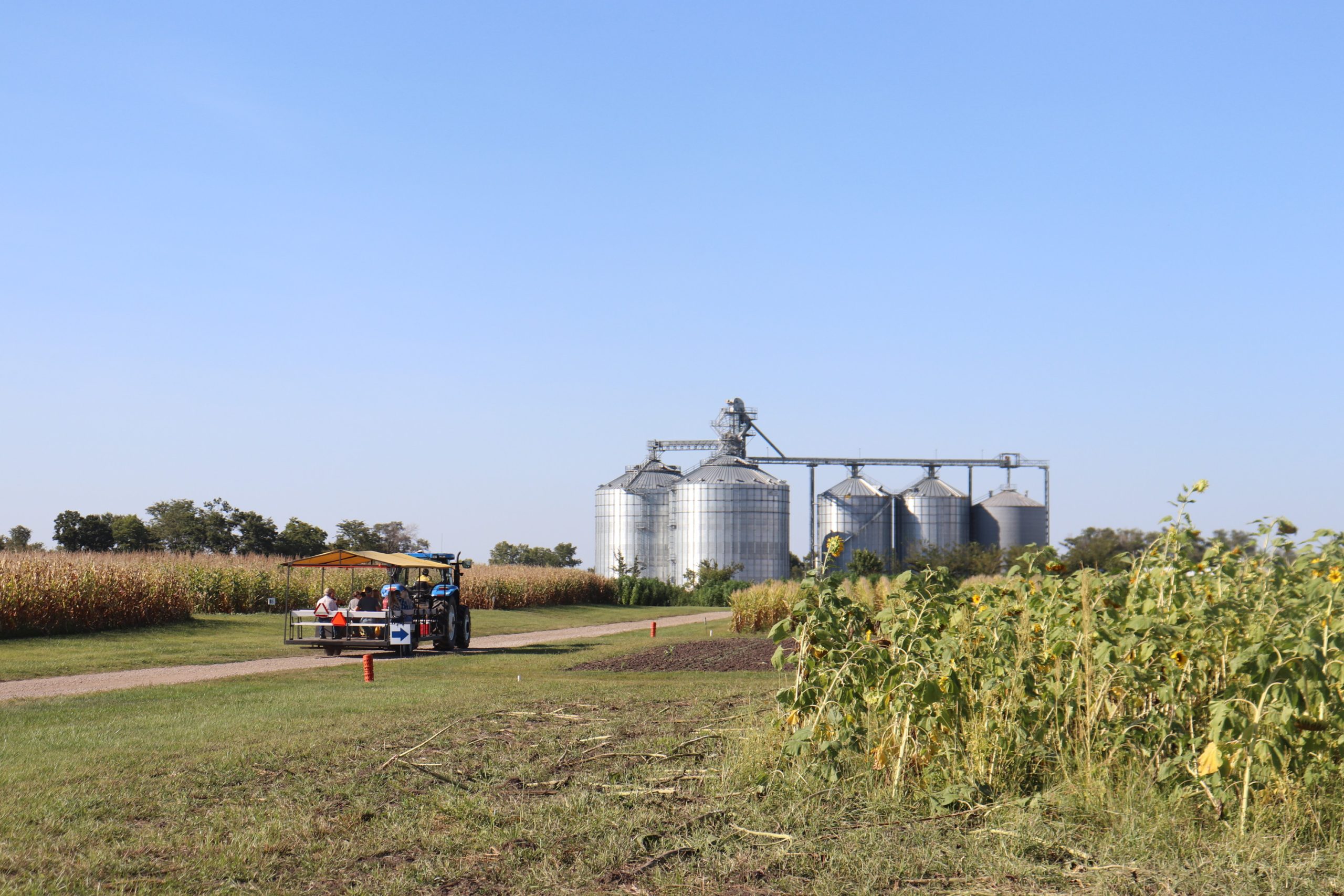 The 48th annual MU Hundley-Whaley Farm, Field and Family Day at Albany on Sept. 3 features wagon tours with overviews of ongoing research at the farm. MU Extension specialists and other industry experts will offer insight into current crop diseases, soybean research and topics from whiskey corn to pollinators. (File photo by Linda Geist.)