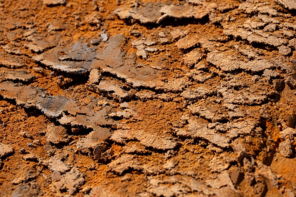 After years of mining, a mixture of scientific expertise is required to help rebuild functional ecosystems and return organic matter, subsurface ecology and wildlife to the Jewett mine site. (Michael Miller/Texas A&M AgriLife)