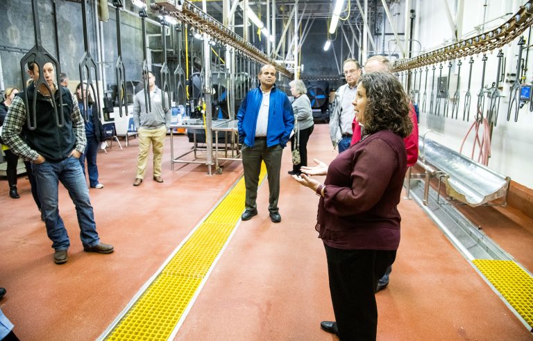CAST Animal Group Tour Casey Owens, professor of poultry science, leads a tour of the Arkansas Agricultural Experiment Station's poultry processing pilot plant. The Center for Scalable and Intelligent Automation in Poultry Processing, established by a $5 million USDA-NIFA grant, aims to adapt robotic automation to the poultry processing industry. (UA System Division of Agriculture photo by Fred Miller)