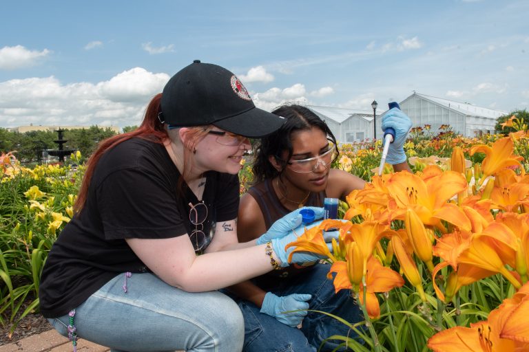 Entomolgy Students: K-State's College of Agriculture has achieved a Top 5 ranking in Niche.com's 2025 annual list of the Best Colleges for Agricultural Sciences. Students credit caring faculty and real-world experience among factors that makes K-State stand out. (K-State Extension news service)