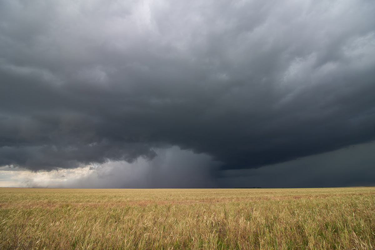 Supercell thunderstorm passes by a dry wheat field, releasing an intense core of rain and hail. (Adobe Stock │ #211841899 - Dan Ross)