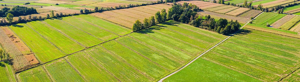 Aerial view of agricultural farming fields from sky. (Adobe Stock │ #391872386 - 24K-Production)