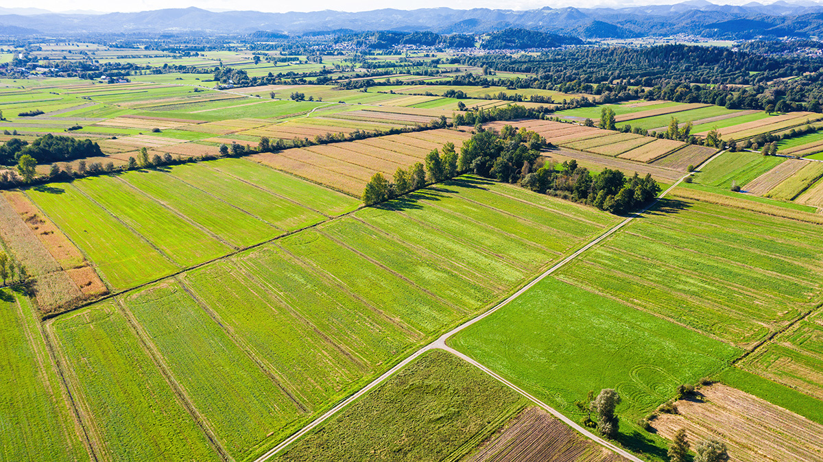 Aerial view of agricultural farming fields from sky. (Adobe Stock │ #391872386 - 24K-Production)