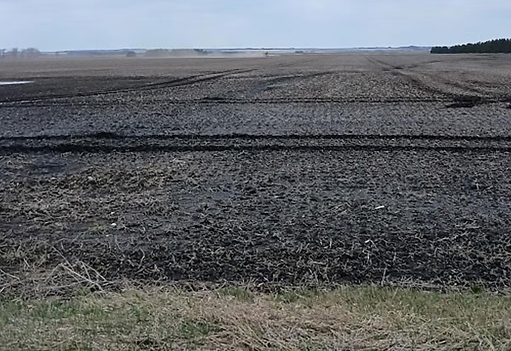 Tracks left from a sprayer that drove through a field when wet. (South Dakota State University Extension)