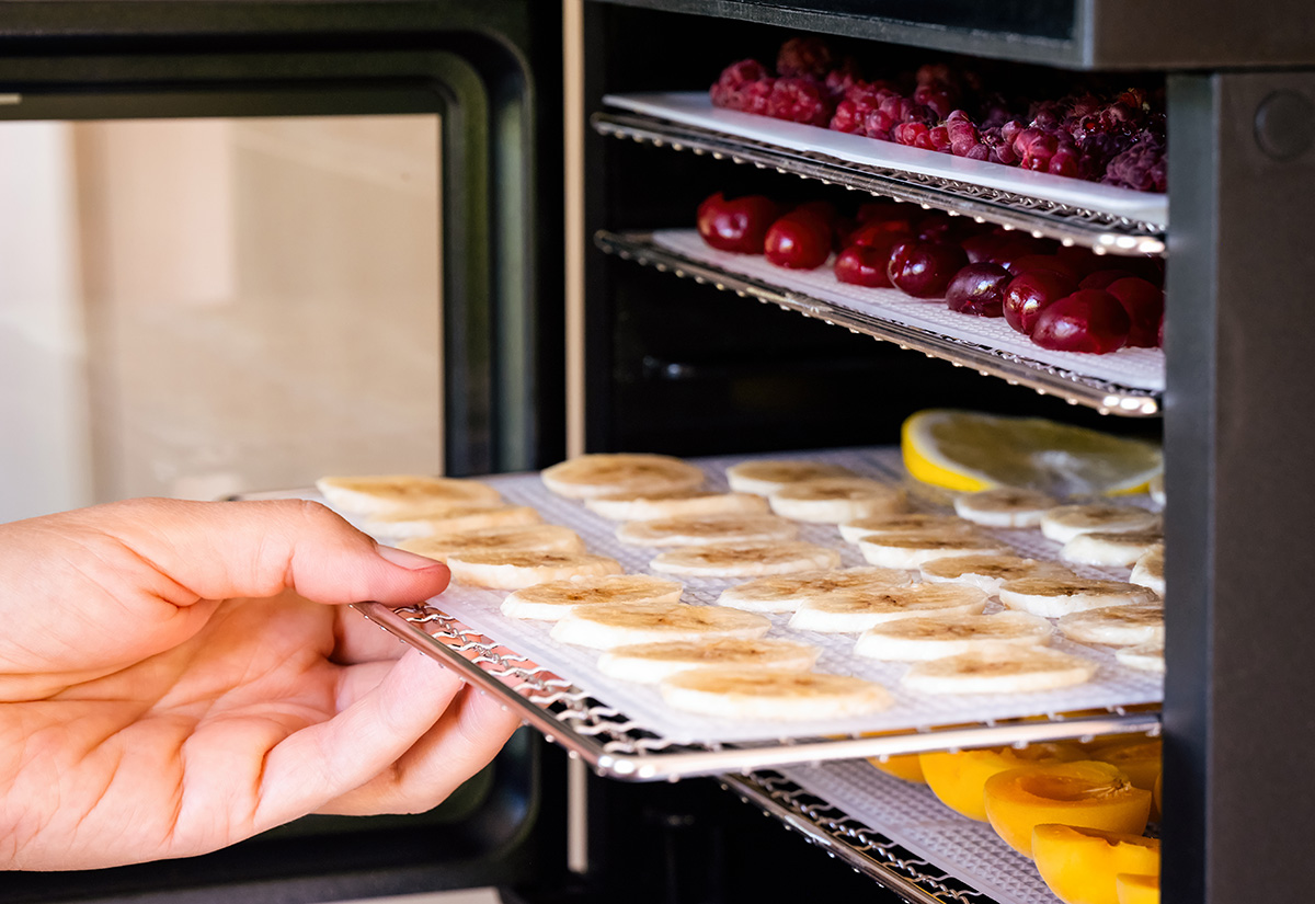 Person hand putting a tray with banana slices into a food dehydrator machine. (iStock │ #1332723385 - Ekaterina79)