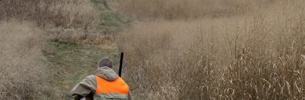A hunter bend down affectionately to praise hunting dog for good work on a rainy fall morning. (iStock │ #477588326 - sand86)