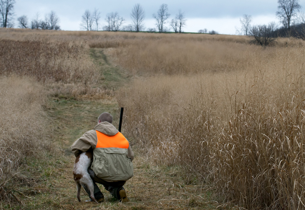 A hunter bend down affectionately to praise hunting dog for good work on a rainy fall morning. (iStock │ #477588326 - sand86)