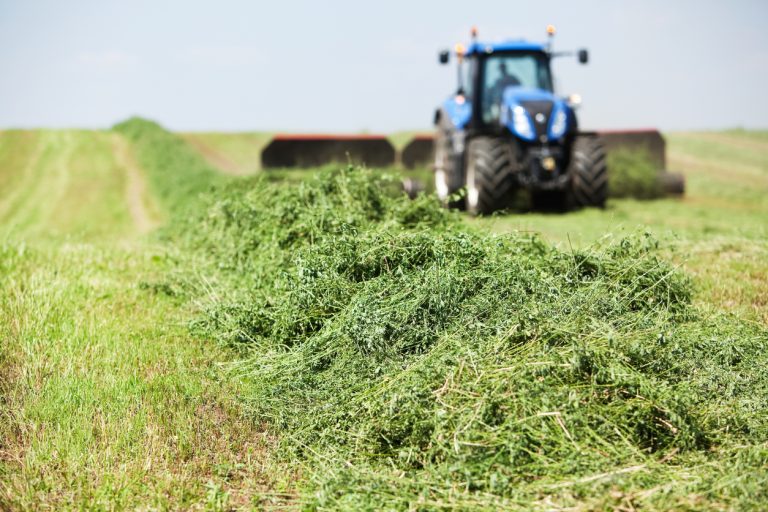 A tractor is towing a merger on a cut alfalfa (hay) field. (iStock │ #477657325 - BanksPhotos)