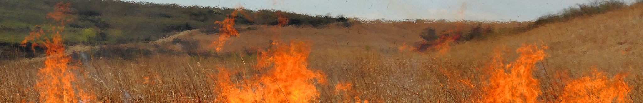 Prairie burning (K-State Research and Extension)