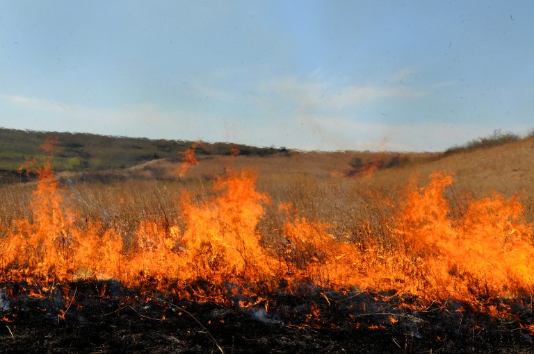 Prairie burning (K-State Research and Extension)