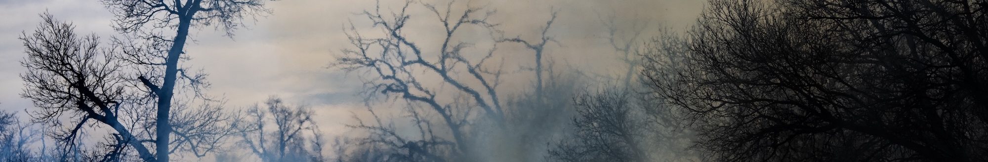 Black smoke and flames can been seen engulfing a field as high winds reignited parts of the Smokehouse Creek fire outside of Miami, Texas on Saturday, Mar 02, 2024. (Sam Craft/Texas A&M AgriLife Marketing and Communications)