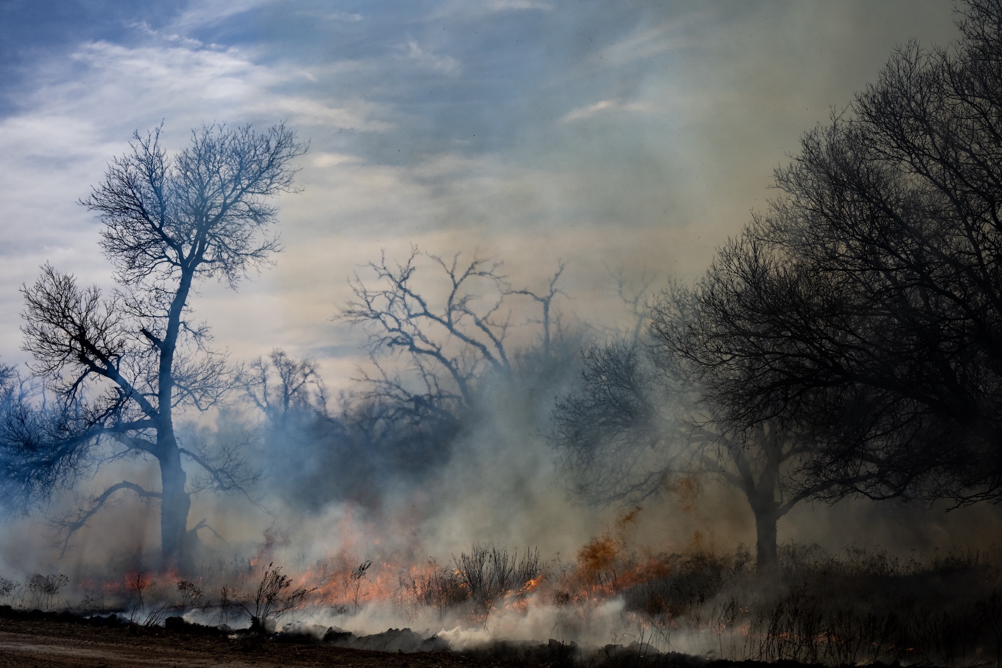 Black smoke and flames can been seen engulfing a field as high winds reignited parts of the Smokehouse Creek fire outside of Miami, Texas on Saturday, Mar 02, 2024. (Sam Craft/Texas A&M AgriLife Marketing and Communications)