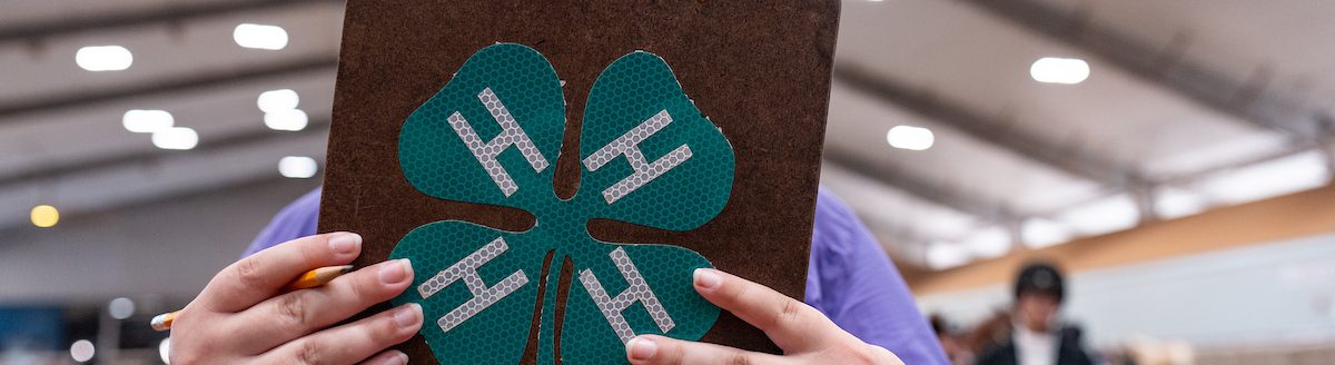 The Texas State 4-H Horse Show on Tusday, July 22, 2025, at the Brazos County Expo in Bryan, TX.(Courtney Sacco/Texas A&M AgriLife)