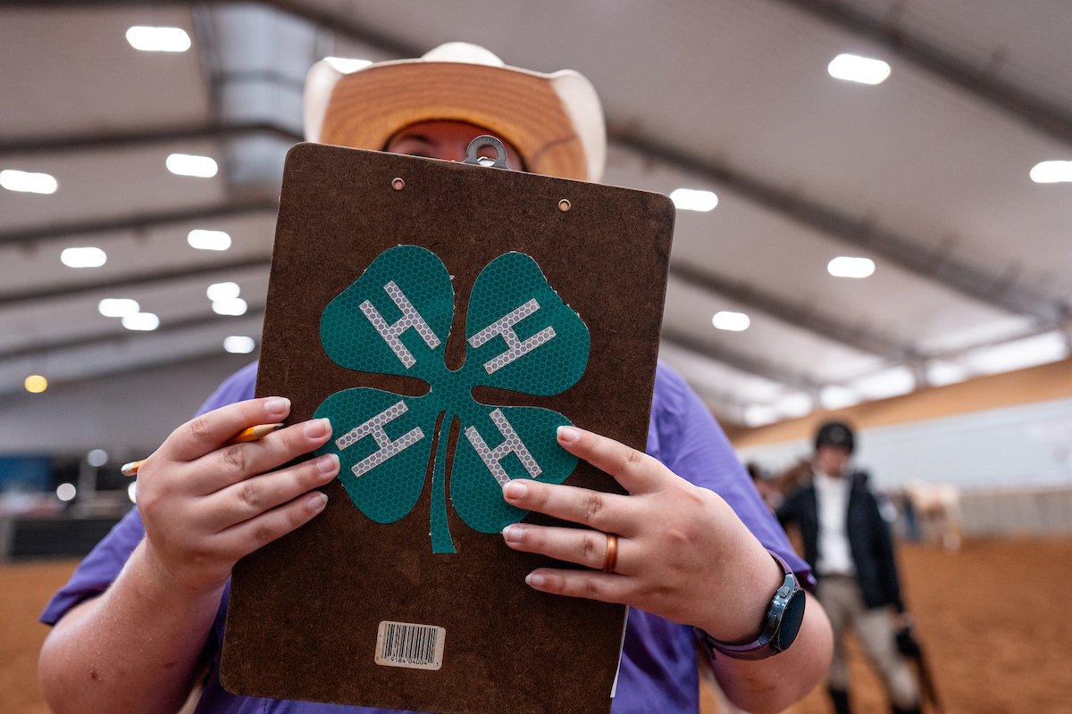 The Texas State 4-H Horse Show on Tusday, July 22, 2025, at the Brazos County Expo in Bryan, TX.(Courtney Sacco/Texas A&M AgriLife)