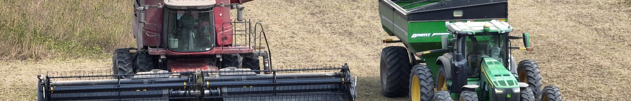 Soybean harvest in Monroe County, Arkansas, taken Sept. 22, 2025. (U of Arkansas System Division of Agriculture image by Dustin North)