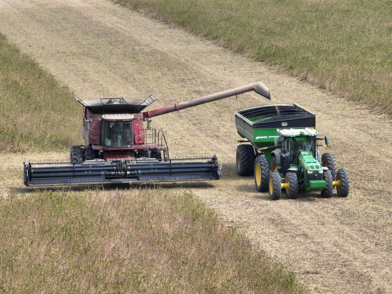 Soybean harvest in Monroe County, Arkansas, taken Sept. 22, 2025. (U of Arkansas System Division of Agriculture image by Dustin North)