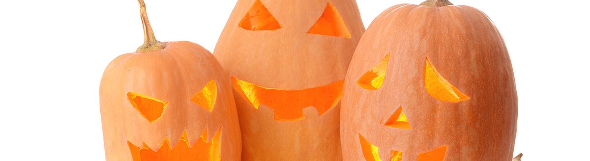 Halloween pumpkins on white background. (Adobe Stock │ #292770571 - Pixel-Shot)