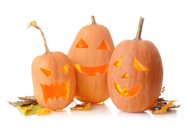 Halloween pumpkins on white background. (Adobe Stock │ #292770571 - Pixel-Shot)