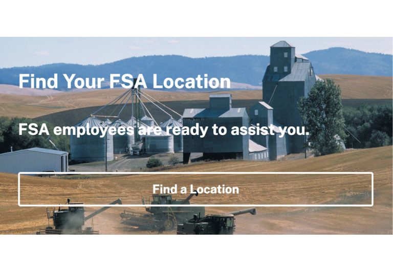 FSA website screenshot