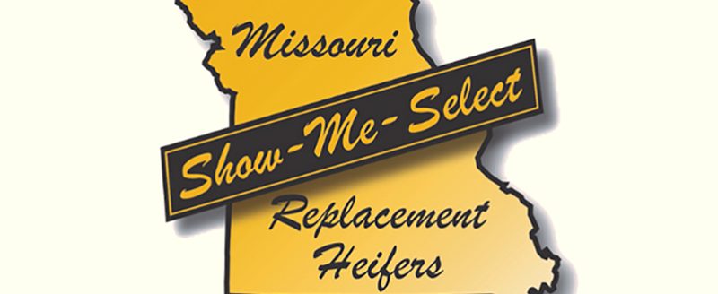 Missouri Show-Me-Select Replacement Heifer Program