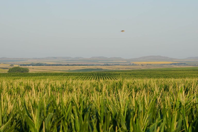 Witten Farms, an expansive offering of 5,508± acres of exceptionally fertile, well-maintained farmland (Hall & Hall courtesy photo)