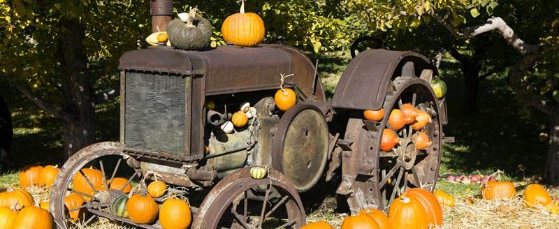 Old antique tractor and farm equipment in an organic farm apple orchard with an arrangement of winter squash and pumpkins. (iStock │ #903081770 - laughingmango)
