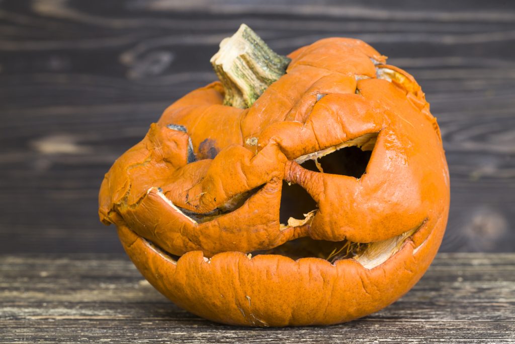 Halloween Jack-O-Lantern beginning to rot and collapse. (iStock │ #1192872187 - ligora)