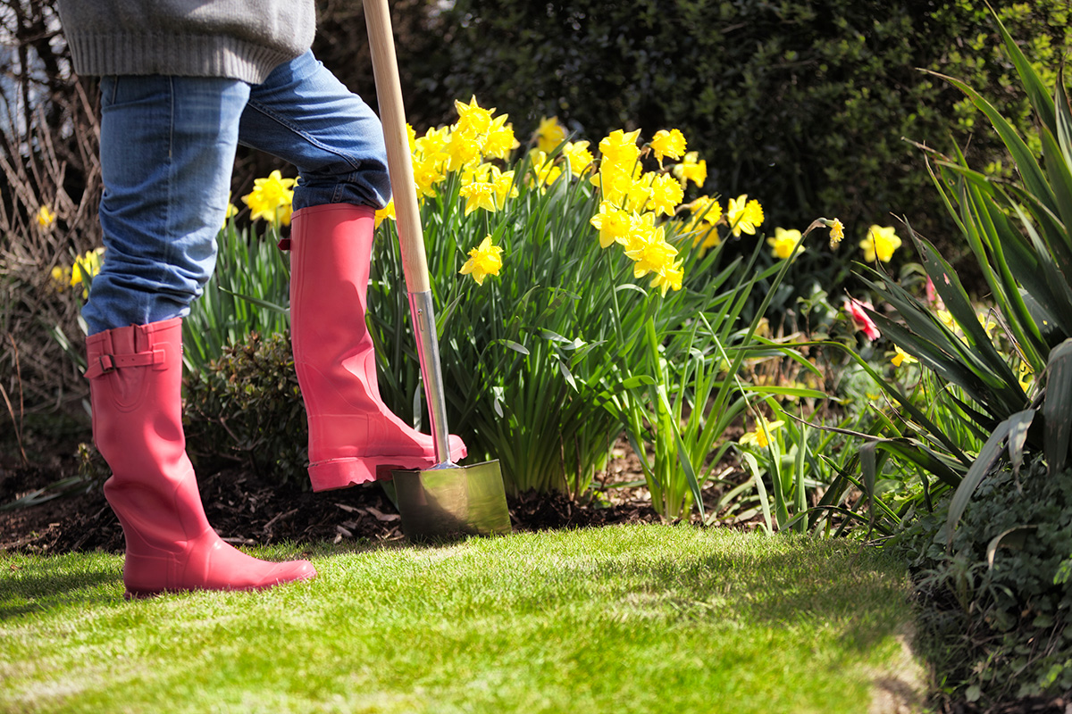Man using a spade in the garden. (iStock │ #168614024 - nicolamargaret)
