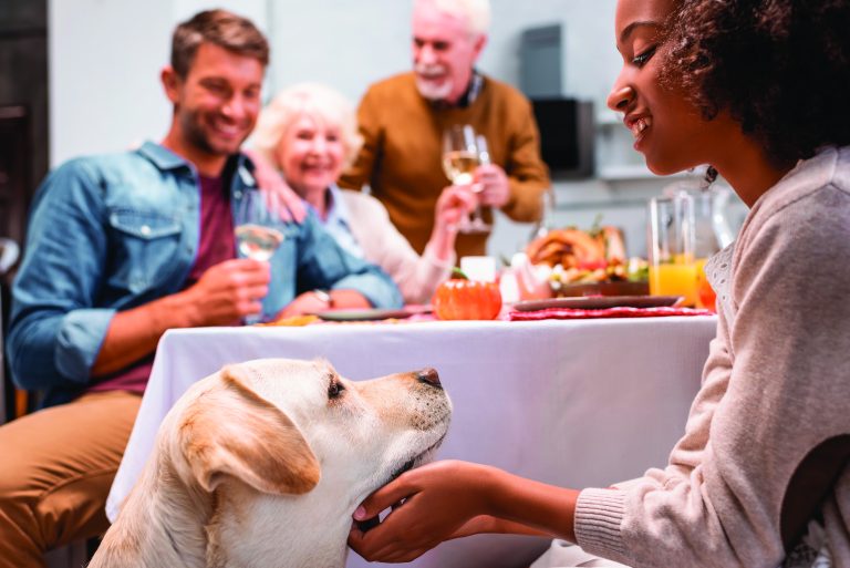 Selective focus of girl stroking golden retriever while family celebrating thanksgiving day. (Photo courtesy of Shutterstock │ #1823341958 - LightField Studios)