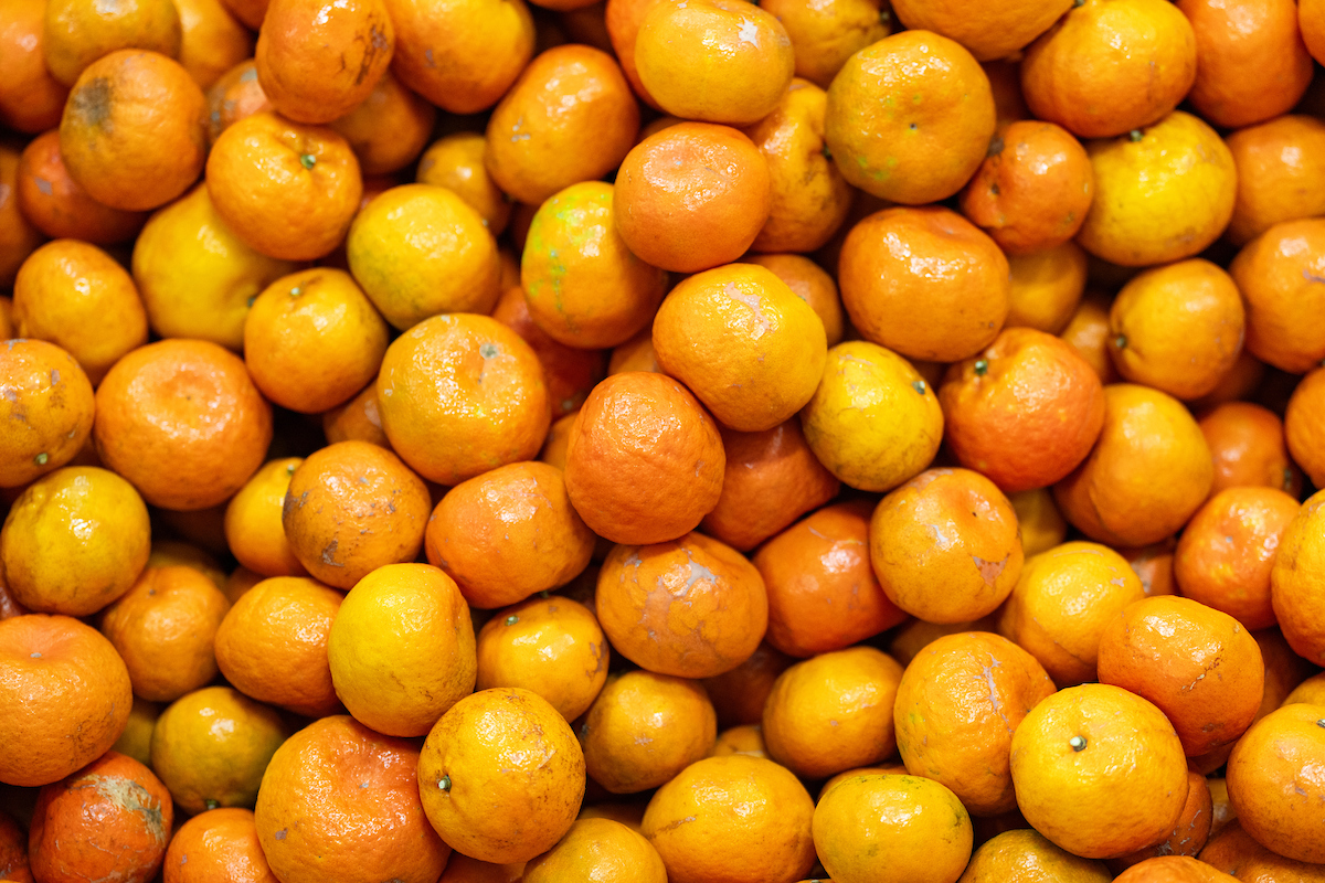 Oranges are processed after being harvested at US Citrus on Wednesday, Jan 17, 2024, in Hargill, Texas. (Sam Craft/Texas A&M AgriLife Marketing and Communications)