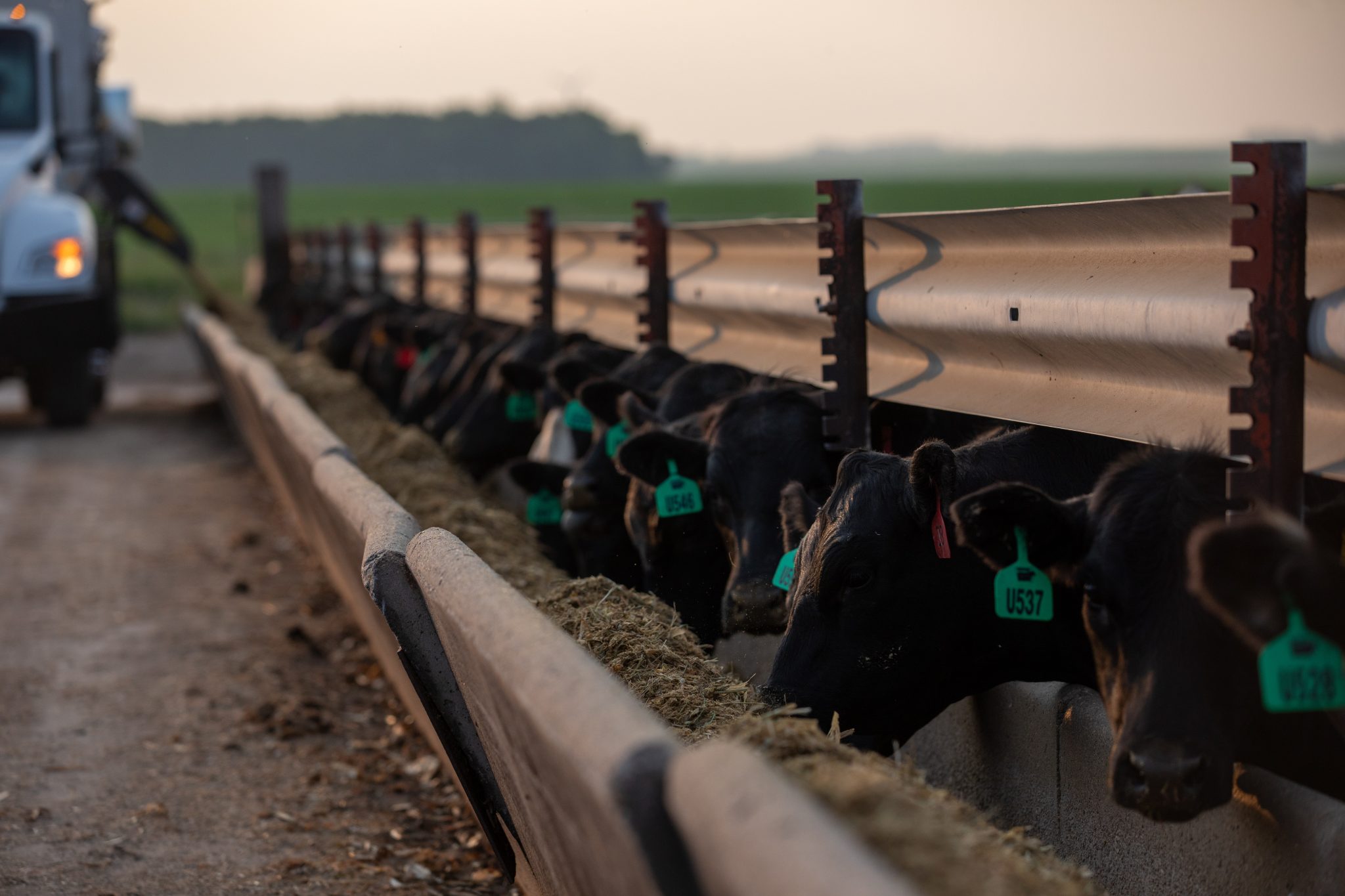 Livestock Calendar March 13 2026 - High Plains Journal