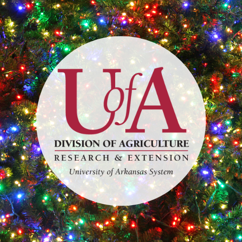 SHOP SMART — As the holiday season approaches, the cost of gift giving can add stress to already-stretched household budgets. (Division of Agriculture graphic.)