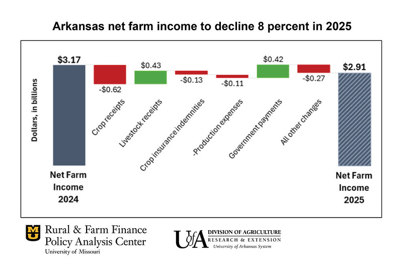 Chart showing anticipated decline in Arkansas net farm income in 2025 from 2024 levels. (RAFF and UADA)