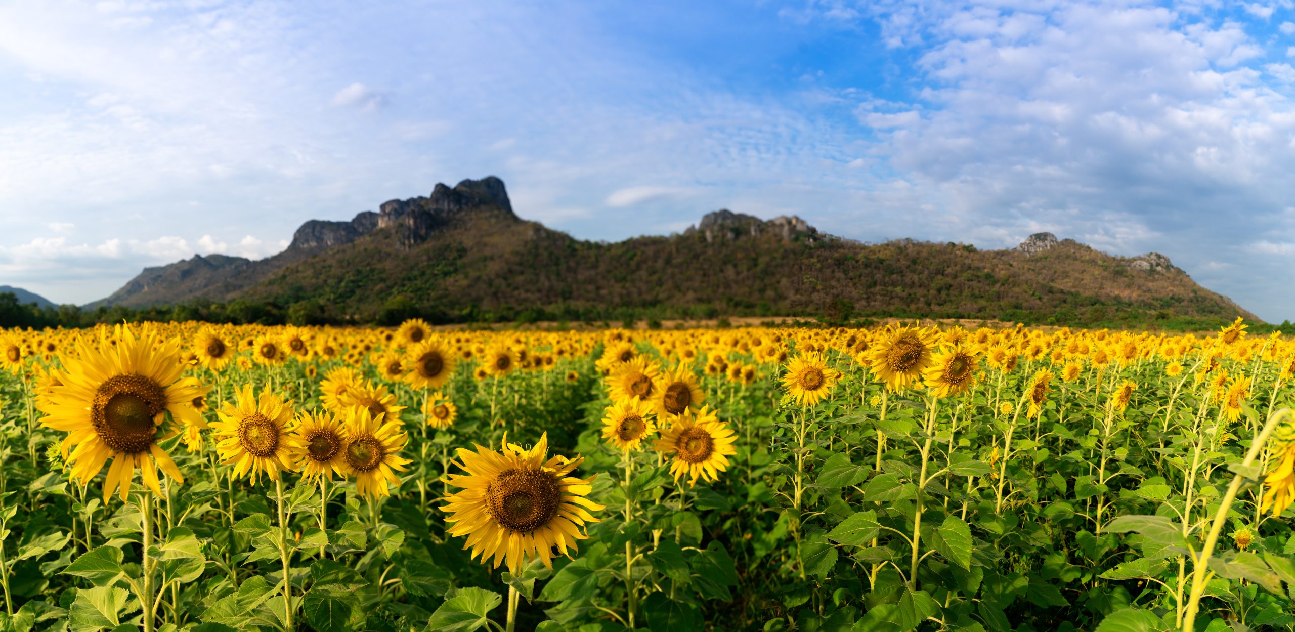 Kansas State Parks looks ahead to 2026