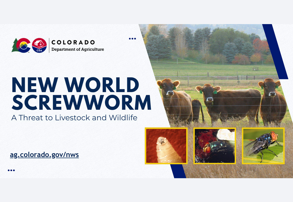 Colorado Department of Agriculture - New world Screwworm