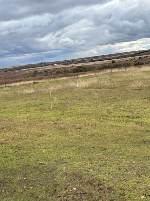 (Photo by Tom Lucas.)