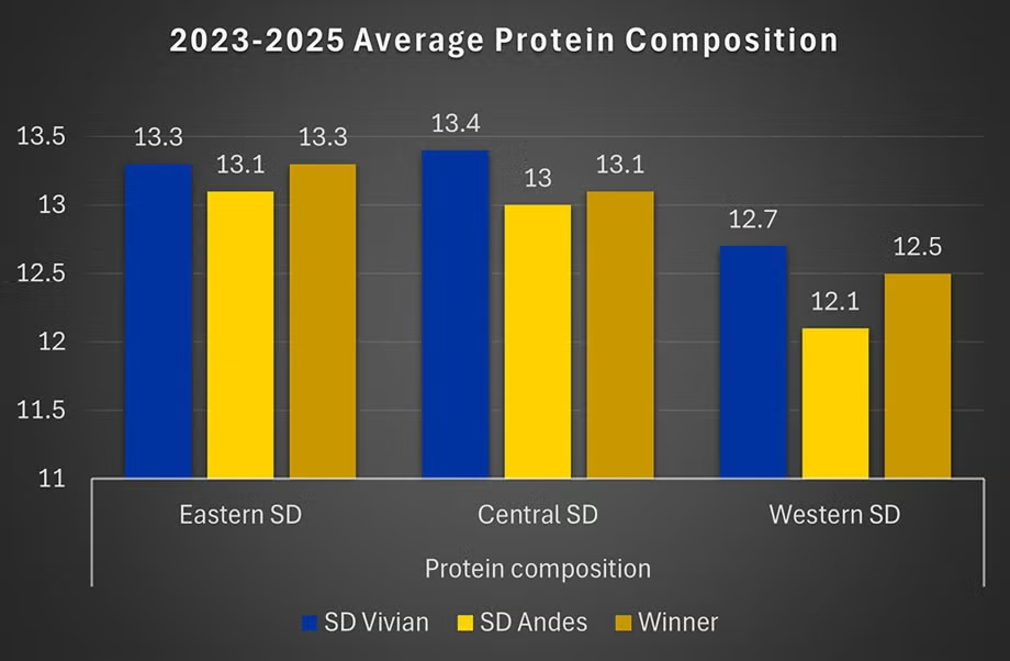 The protein composition of SD Vivian outperformed nearly two-dozen varieties based on data collected from more than 30 locations around South Dakota over a three-year span. (South Dakota State University)