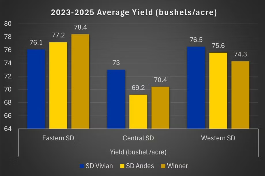 In field trials conducted across three growing seasons, SD Vivian had the highest average yield in the central and western portions of the state and the third-highest yield in the eastern portion of the state compared to nearly two dozen varieties. (South Dakota State University)