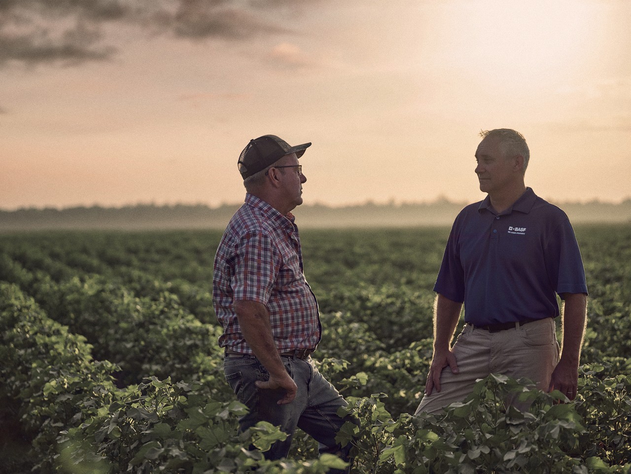 BASF offers low-interest grower financing