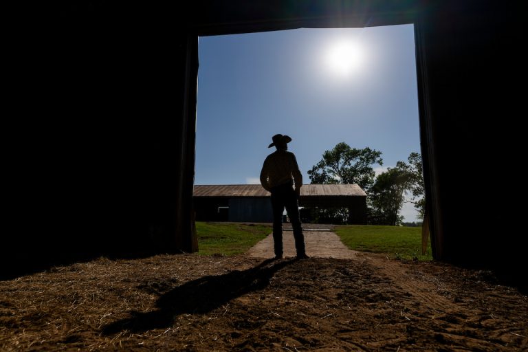 Farmers and ranchers facing stressful times can receive free counseling and education through FarmHope, a collaboration between Texas A&M AgriLife Extension Service and the Texas A&M Health Telehealth Institute. (Michael Miller/Texas A&M AgriLife)