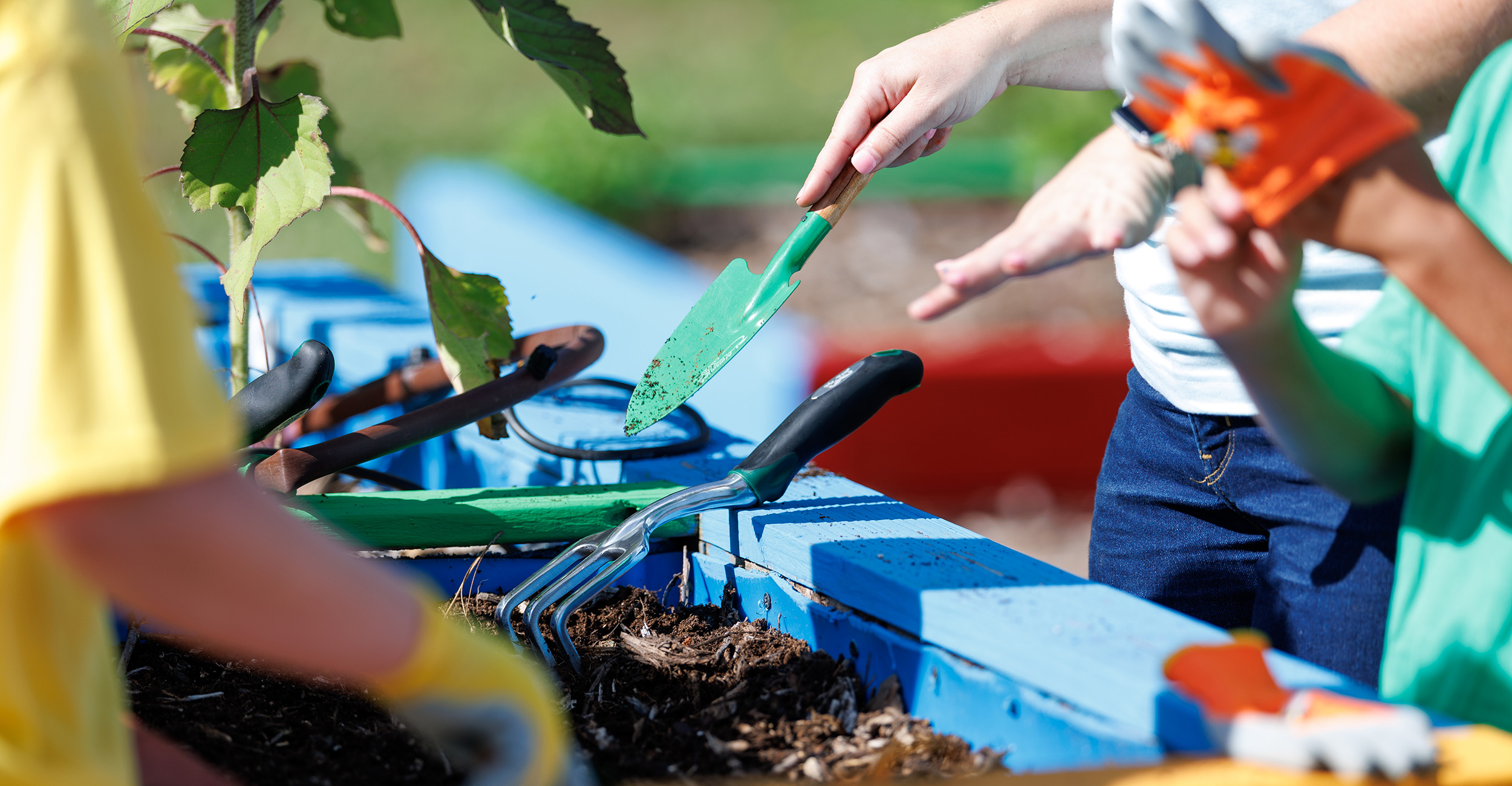 During the third quarter of 2025, OSU Extension educators continued to have large impacts on their communities through programming aimed at health, youth development and cultural development. (Photo by Mitchell Alcala, OSU Agriculture)
