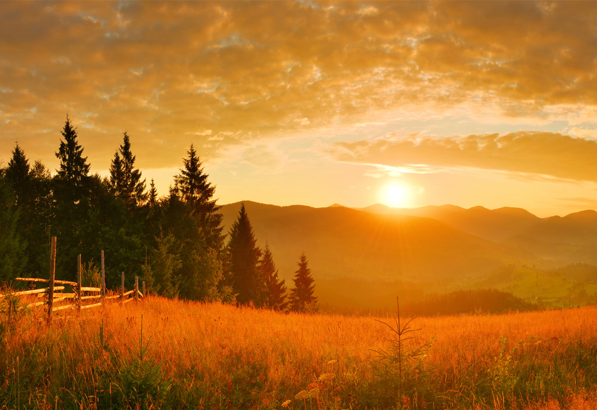 Countryside. (Adobe Stock │ #89841742 - denis_333)