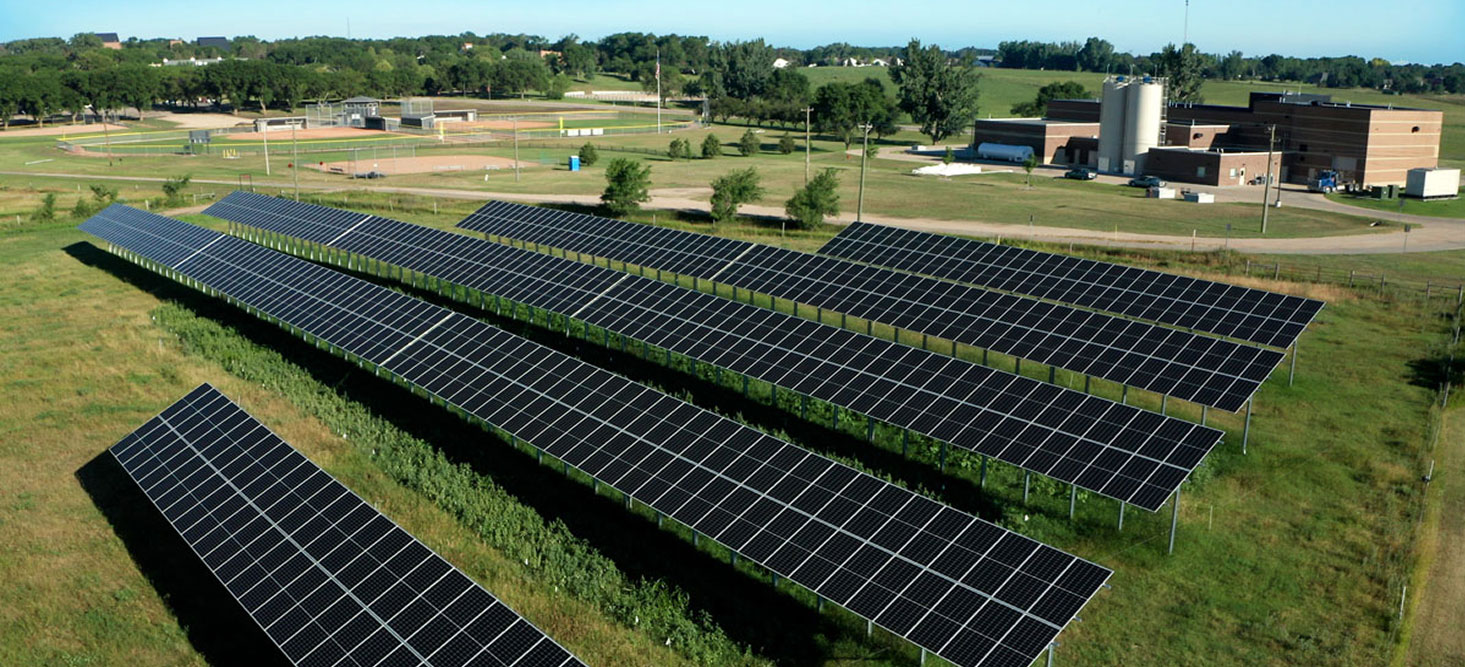An agrivoltaic approach provides an array of benefits. (University of Minnesota System)