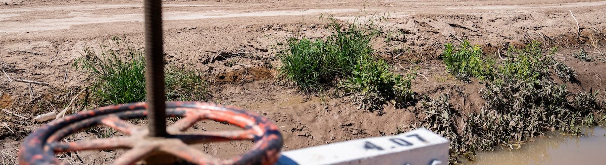 Irrigation supplies along the U.S.-Mexico border are tightening as regional watersheds that replenish critical reservoirs have not received rainfall. (Sam Craft/Texas A&M AgriLife)