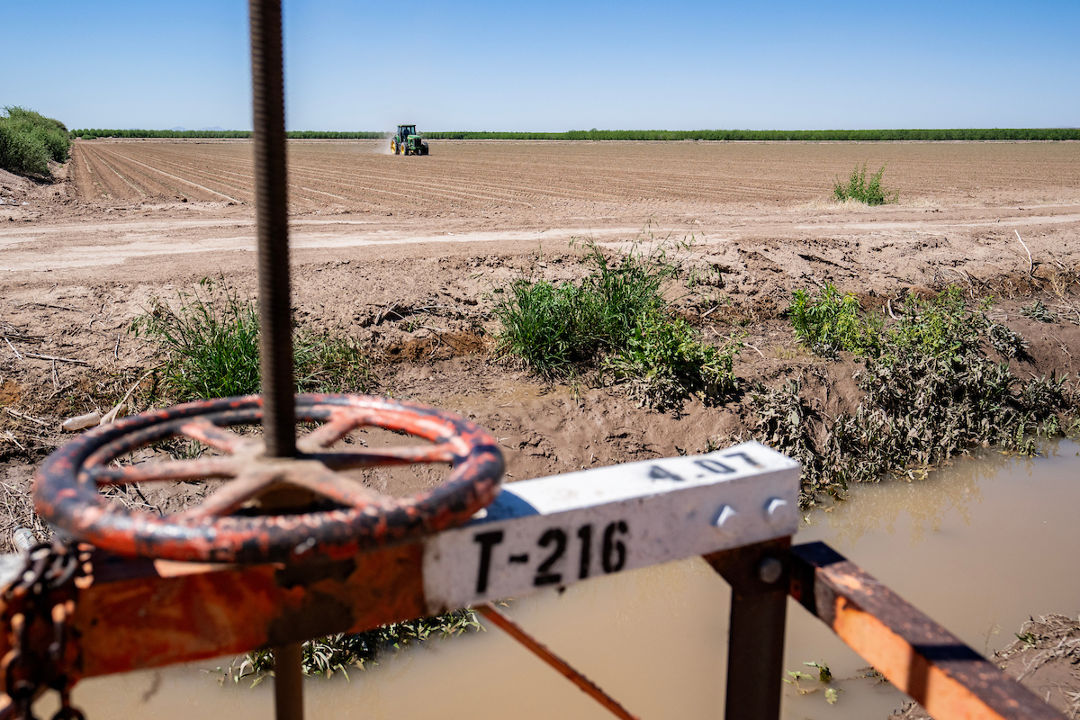 Irrigation supplies along the U.S.-Mexico border are tightening as regional watersheds that replenish critical reservoirs have not received rainfall. (Sam Craft/Texas A&M AgriLife)
