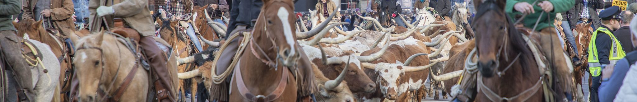 National Western Stock Show Parade (National Western Stock Show - Volunteer Photographer)
