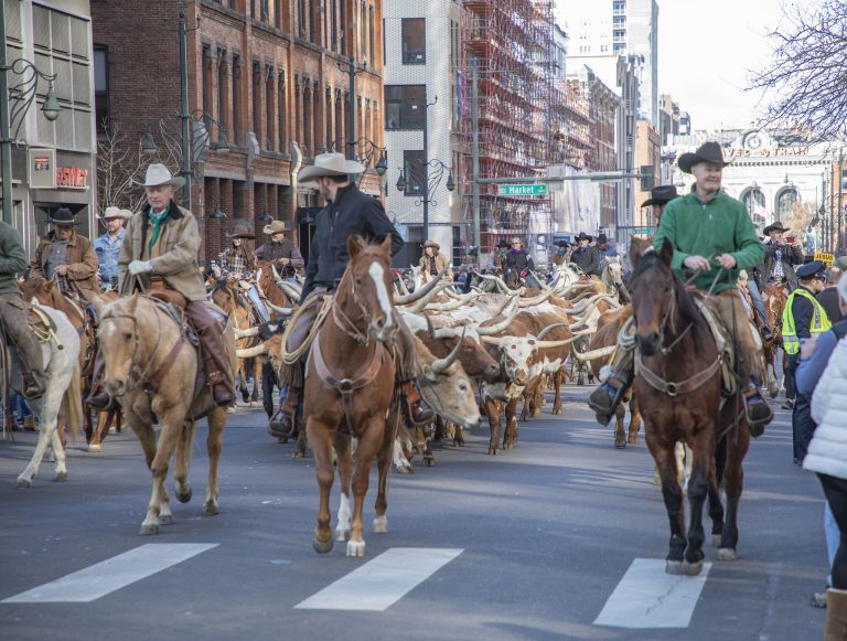 National Western Stock Show Parade (National Western Stock Show - Volunteer Photographer)