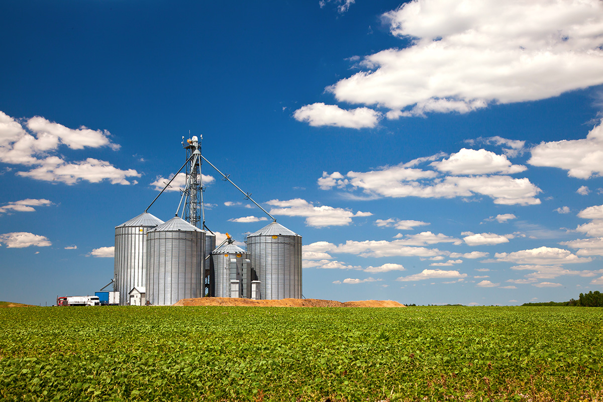 Farm tin silos storage towers. (Adobe Stock │ #120646869 - Viktorus)