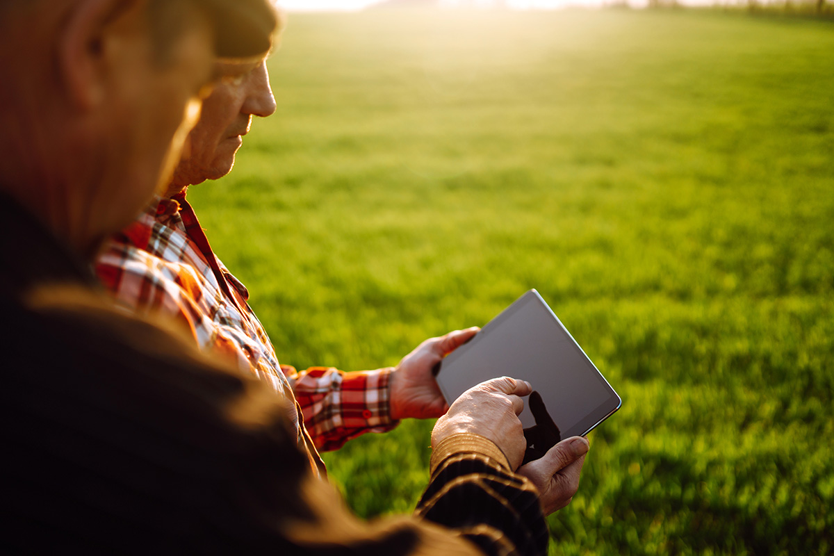 Two farmers standing in green wheat field using touch pad for check wheat quality. Smart farm. Agro business. (Adobe Stock │ #360040362 - maxbelchenko)