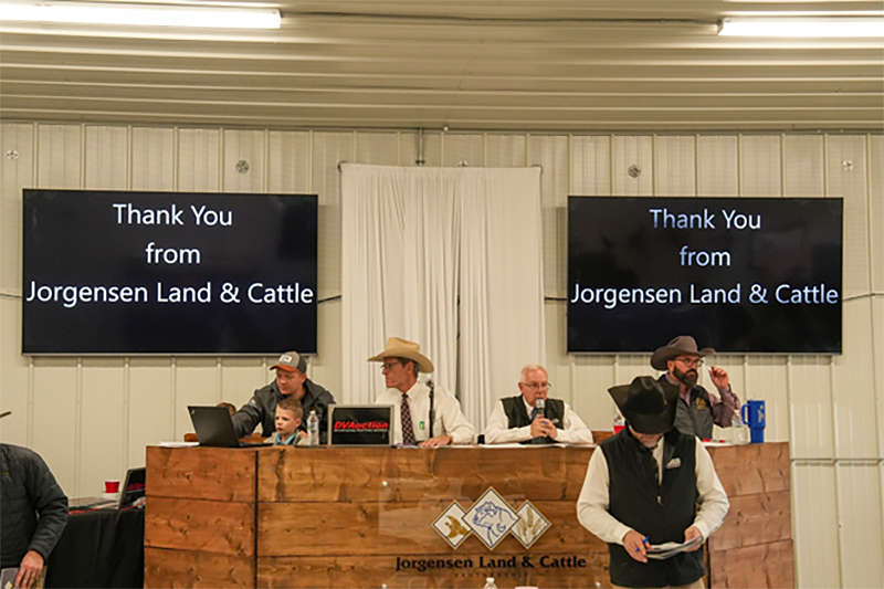 Jorgensen Land & Cattle 2025 Motherlode Female & Bull Sale